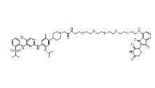 CAS:	2230077-10-6	MS4077   PROTACs（蛋白降解靶向嵌合体）