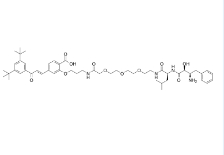 CAS:	1351169-27-1	PROTAC RAR Degrader-1         PROTACs（蛋白降解靶向嵌合体）