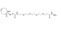 BCN-PEG4-hydrazide   BCN-PEG4-HYDRAZIDE (EXO)   点击化学试剂