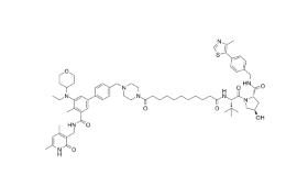 CAS:	3004503-12-9	NUCC-0226272    PROTACs（蛋白降解靶向嵌合体）