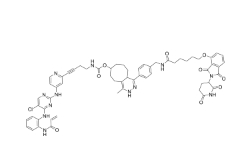 CAS:	2087490-46-6	ERK-CLIPTAC   PROTACs（蛋白降解靶向嵌合体）