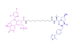 CAS:	2738533-33-8	(S)-GNE-987    PROTACs（蛋白降解靶向嵌合体）