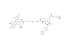 CAS:	2417370-49-9	PROTAC BRD4 Degrader-10    PROTACs（蛋白降解靶向嵌合体）