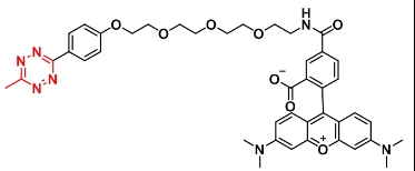 2163772-19-6   5-TAMRA-PEG4-Methyltetrazine   5-四甲基罗丹明-四聚乙二醇-甲基四嗪
