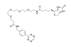  Tetrazine-PEG4-biotin   四嗪-四聚乙二醇-生物素   点击化学试剂