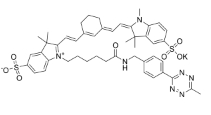  Sulfo-Cy7 tetrazine  水溶性CY7标记四嗪 磺基-CY7(cyane7)四嗪   近红外水溶性荧光基团