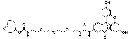 TCO-PEG3-FITC   反式环辛烯-三聚乙二醇-荧光素