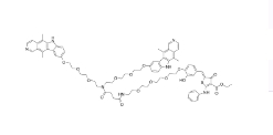 CAS:	2767983-76-4	di-Ellipticine-RIBOTAC   PROTACs（蛋白降解靶向嵌合体）