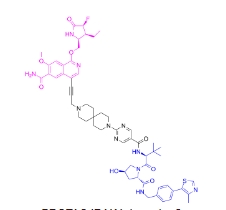 CAS:	2374122-27-5	PROTAC IRAK4 degrader-2    PROTACs（蛋白降解靶向嵌合体）