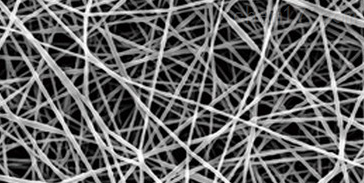 PLA纳米纤维网格膜片150nm（厚度：600um）（直径：3/8cm）（网格空隙：200um）