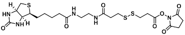 142439-92-7    Biotin-bisamido-SS-NHS ester     生物素-二酰胺-二硫键-琥珀酰亚胺酯