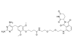 CAS:2849442-92-6	PROTAC eDHFR Degrader-1	化合物 PROTAC eDHFR Degrader-1