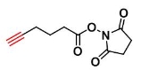 906564-59-8   5-Hexynoic acid NHS ester   5-己酸-琥珀酰亚胺酯