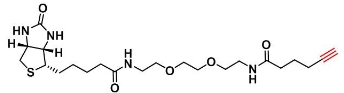 1011268-28-2   Biotin-PEG2-C4-alkyne   生物素-二聚乙二醇-C4-炔基