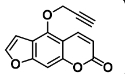 佛手酚-丙炔  点击化学化合物