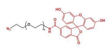 叠氮聚乙二醇荧光素 Azide-PEG-Fluorescein   叠氮PEG荧光素