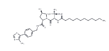 CAS:	2341796-74-3	(S,R,S)-AHPC-C10-NH2	化合物(S,R,S)-AHPC-C10-NH2