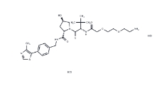CAS:	2341796-76-5	(S,R,S)-AHPC-PEG2-NH2 dihydrochloride	(S,R,S)-AHPC-PEG2-NH2二盐酸盐