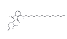 CAS:	2225940-52-1	Pomalidomide-PEG4-C2-NH2	化合物Pomalidomide-PEG4-C2-NH2