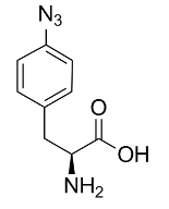 33173-53-4  4-叠氮基-l-苯丙氨酸   4-Azido-L-phenylalanine