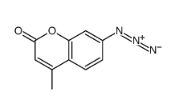 95633-27-5  7-Azido-4-methylcoumarin  7-叠氮基-4-甲基香豆素