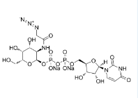  653600-61-4   UDP-GalNAz.2Na  尿苷5'-二磷酸-N-乙酰叠氮氨基半乳糖胺二钠盐
