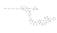 N3-PEG3-vc-PAB-MMAE   drug-linker conjugate for ADC 的一部分  点击化学试剂