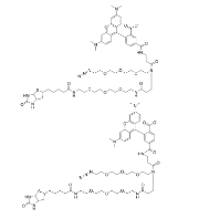  1797415-74-7   TAMRA-Azide-PEG-biotin    TAMRA染料衍生物  点击化学