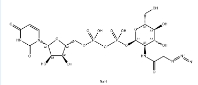 1611490-64-2   UDP-GlcNAz disodium   点击化学
