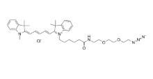  N-Methyl-N'-(azido-PEG2-C5)-Cy5   点击化学化合物   PROTAC linker