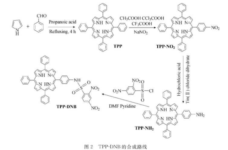 5-[4-N-(2,4-二 硝基苯)磺酰胺基苯基]-10, 15,20-三苯基卟啉(TPP-DNB)
