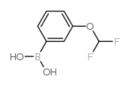 866607-09-2  (3-(二氟甲氧基)苯基)硼酸  间二氟甲氧基苯硼酸  (3-(Difluoromethoxy)phenyl)boronic acid