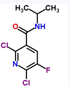 CAS:680217-86-1	2,6-二氯-5-氟-n-异丙基烟酰胺	2,6-Dichloro-5-fluoro-N-isopropylnicotinamide