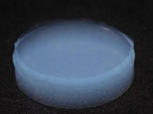 负载纳米磁铁颗粒的PLGA微球