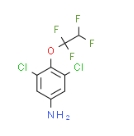 3,5-二氯-4-(1,1,2,2-四氟乙氧基)   104147-32-2  3,5-Dichloro-4-(1,1,2,2-tetrafluoroethoxy)aniline  含氟砌块