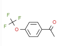 85013-98-5  4-(三氟甲氧基)苯乙酮  4'-Trifluoromethoxyacetophenone