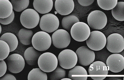 Au nanoparticles 