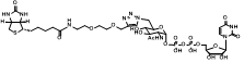 UDP-6-Biotinyl-GlcNAc 