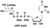 UDP-GALA