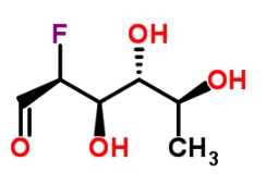 CAS:70763-62-1	2-脱氧-2-氟-L-岩藻糖	2-Deoxy-2-Fluoro L-Fucose