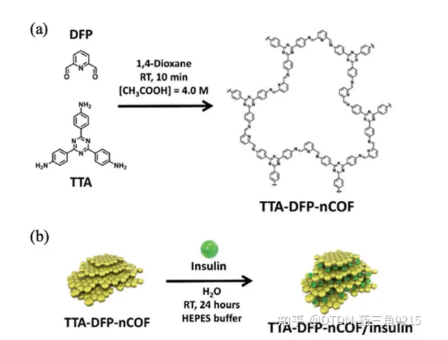 tta - dfp - nof的化学结构和合成路线;(b)胰岛素嵌入COF的示意图