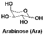 Arabinose