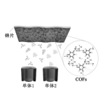 中空的COF颗粒    齐岳生物定制