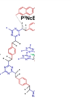 Ni-PyCOF，Ni-Bn-COF  乙二酸镍基金属-共价有机骨架  科研供应