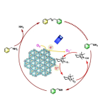 β-环糊精（β-CD）修饰的COF丨共价有机框架（COFs）丨齐岳供应
