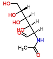 N-acetyl-β-D-galactosamine  