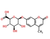   4-Methylumbelliferylglucuronide