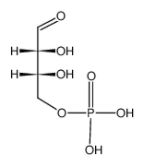D-erythrose 4-phosphate  