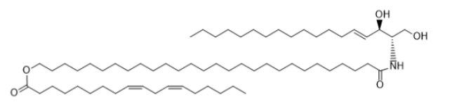 CER1(d18:1/28:0/18:2)   N-[28-linoleoyloxy octacosanoyl]-D-erythro-sphingosine