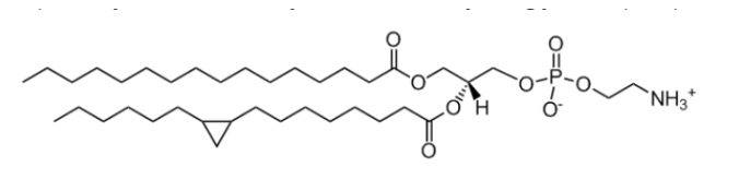 CAS:2260669-87-0  16:0-17:0 cyclo PE  1-palmitoyl-2-cis-9,10-methylenehexadecanoyl -sn-glycero-3-phosphoethanolamine